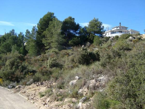 Terreno en calle Gayarre, 20