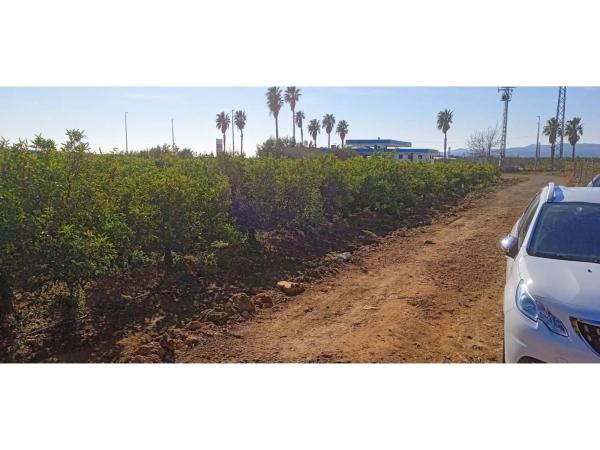 Terreno en Disseminat Polígon 37, 73 -75