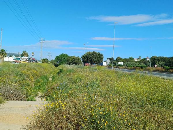Terreno en calle Riu Albaida