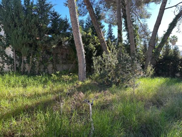 Terreno en calle de l'Almirall Cervera, 12