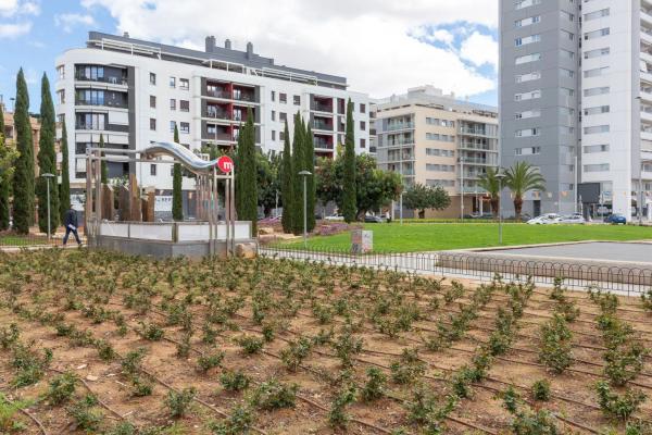 Terreno en calle Doctor Marañón