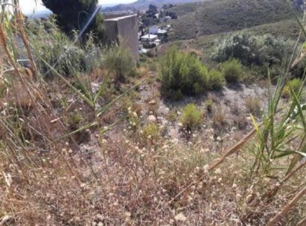 Terreno en calle del General Palafox