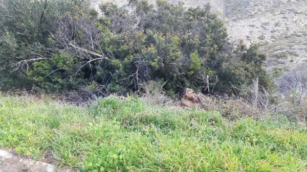 Terreno en calle del General Cavalcanti
