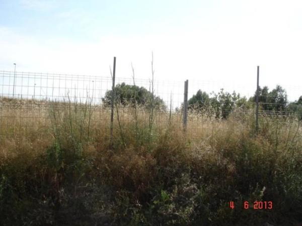 Terreno en calle Ruiz de Corella, 52