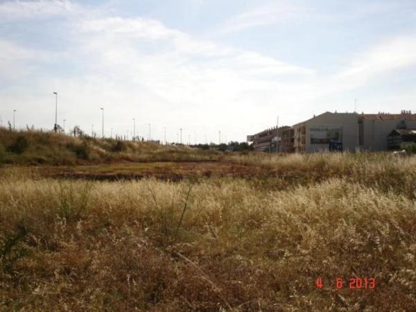 Terreno en calle Ruiz de Corella, 52