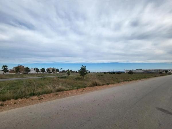 Terreno en eL Silvestre