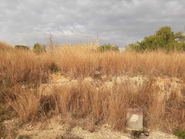 Terreno en calle Primer Desmunt