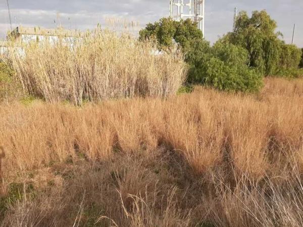 Terreno en calle Primer Desmunt