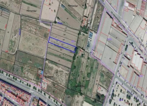 Terreno en plaza Numero 1