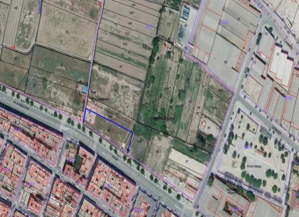 Terreno en plaza Numero 1