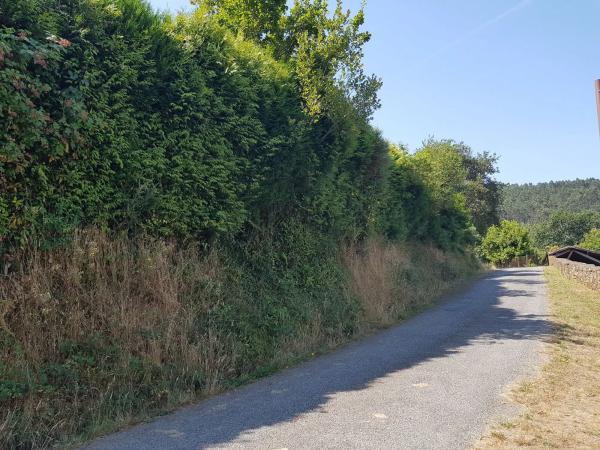 Terreno en Lugar de Currelo, 16