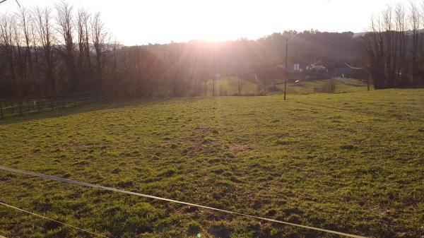 Terreno en lugar da carballeira, 139