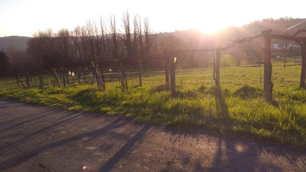 Terreno en lugar da carballeira, 139