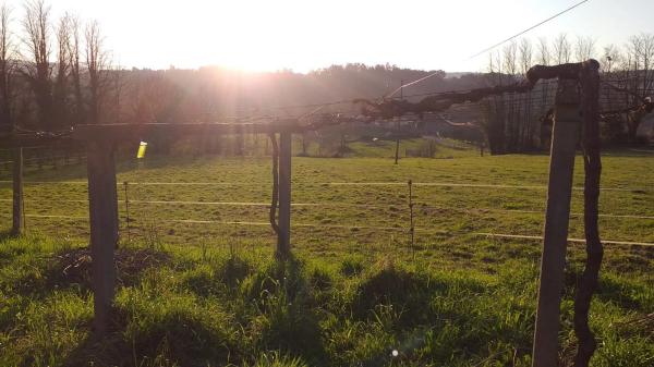 Terreno en lugar da carballeira, 139
