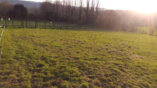 Terreno en lugar da carballeira, 139