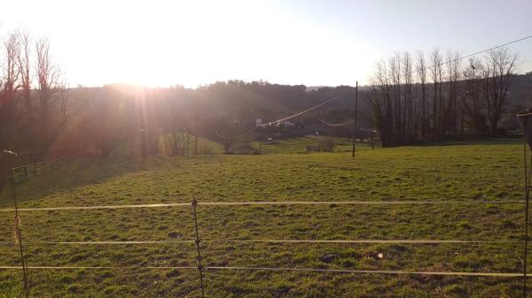 Terreno en lugar da carballeira, 139