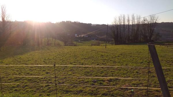 Terreno en lugar da carballeira, 139