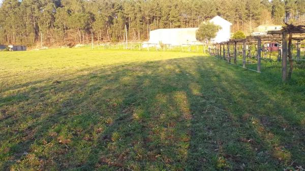 Terreno en lugar da carballeira, 139