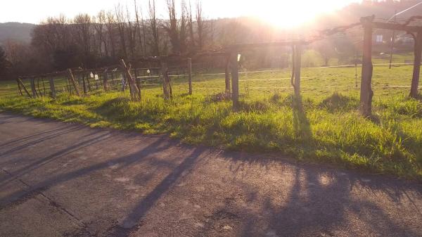 Terreno en lugar da carballeira, 139