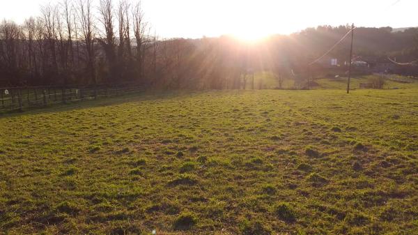 Terreno en lugar da carballeira, 139
