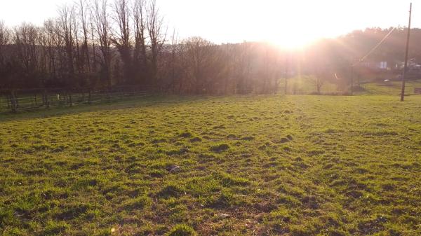 Terreno en lugar da carballeira, 139