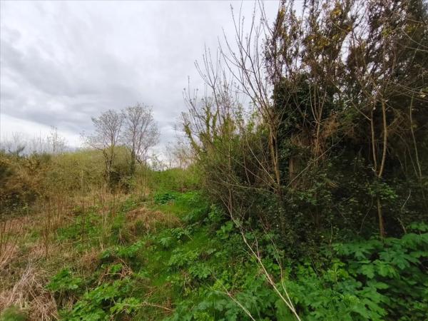 Terreno en avenida Santiago