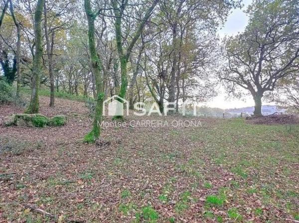 Terreno en Vilancosta s/n