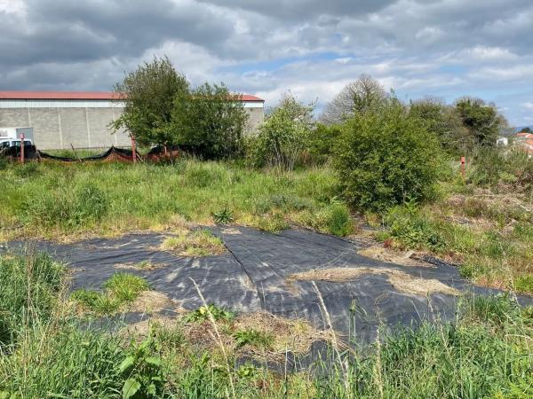 Terreno en calle Muiño