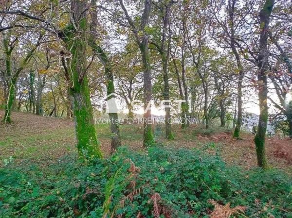 Terreno en Vilancosta s/n