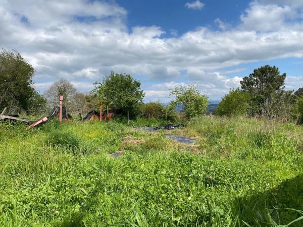 Terreno en calle Muiño