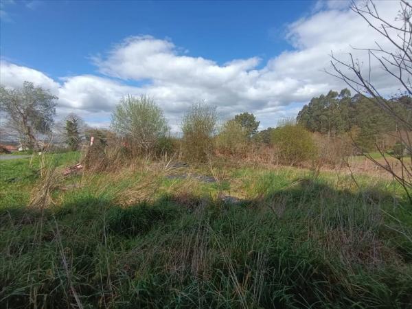 Terreno en calle Muiño