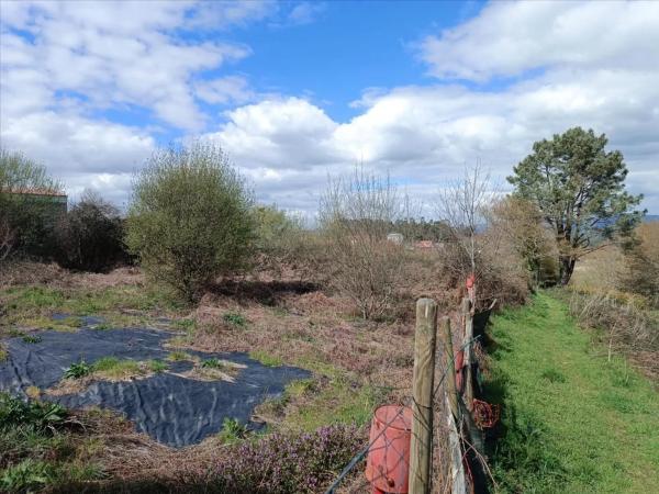 Terreno en calle Muiño
