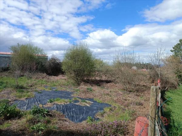 Terreno en calle Muiño