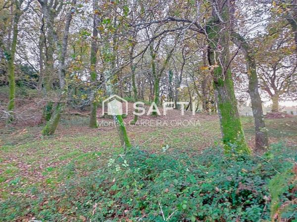 Terreno en Vilancosta s/n