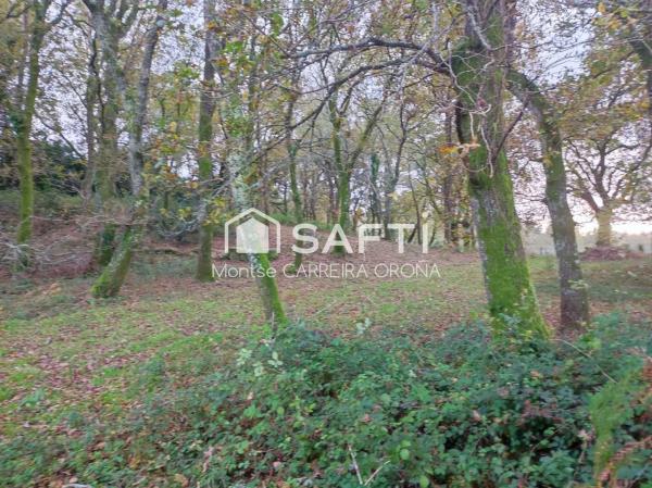 Terreno en Vilancosta s/n