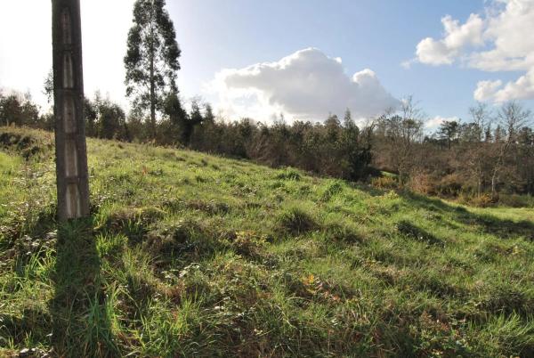Terreno en Cerrada do Terzado