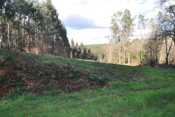Terreno en carril de Bouzón s/n