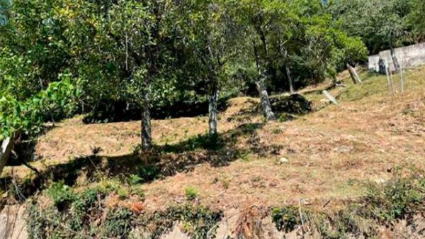 Terreno en N-525, 321