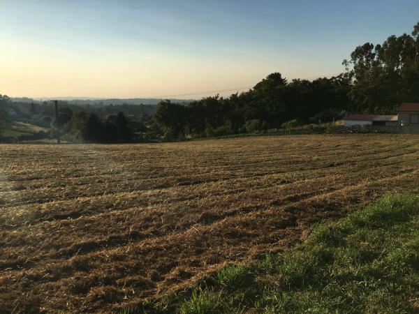 Terreno en calle Cañoteira, 43