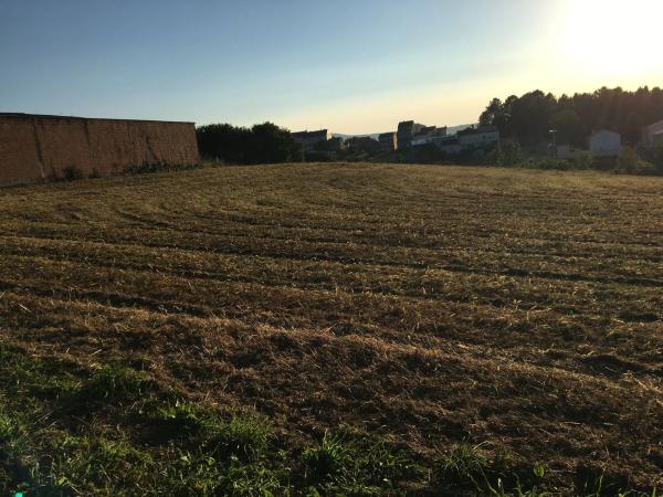 Terreno en calle Cañoteira, 43
