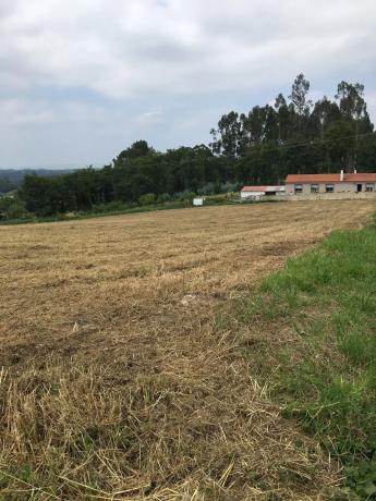 Terreno en calle Cañoteira, 43
