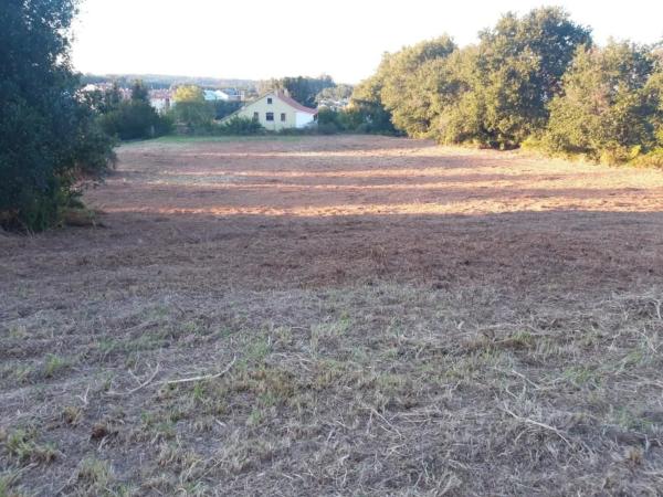 Terreno en avenida Santiago