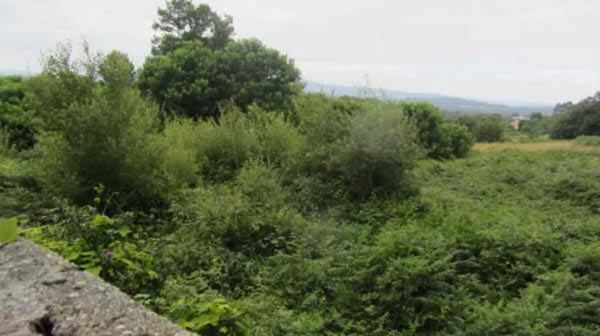 Terreno en avenida Santiago