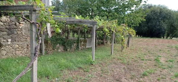 Terreno en A Estrada