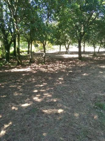 Terreno en Loureiro, 23