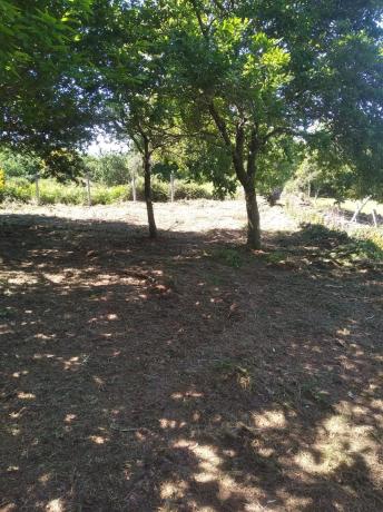 Terreno en Loureiro, 23