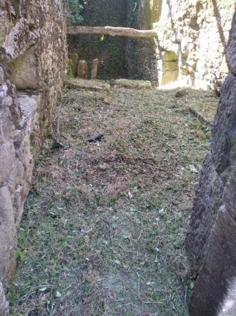 Terreno en Loureiro, 23