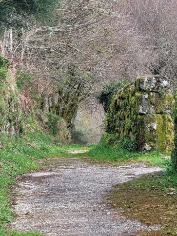Terreno en Loureiro, 23