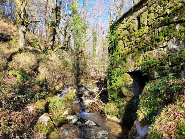 Terreno en Loureiro, 23