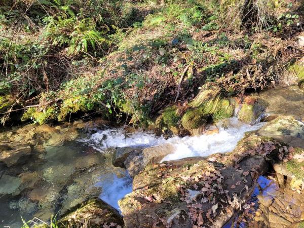 Terreno en Loureiro, 23
